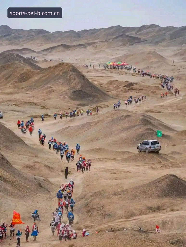 世界杯观赛签证受阻，B体育2025新版带你玩转赛事信息