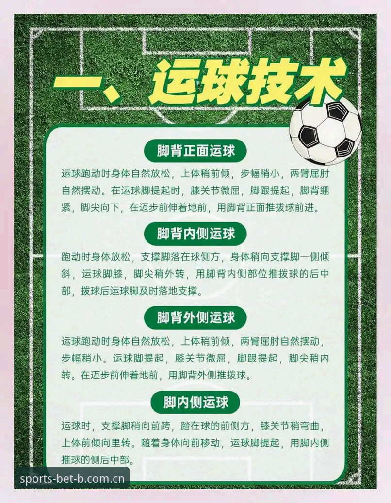 足球行业整顿实用指南：从禁足名单看中国足球治理新趋势